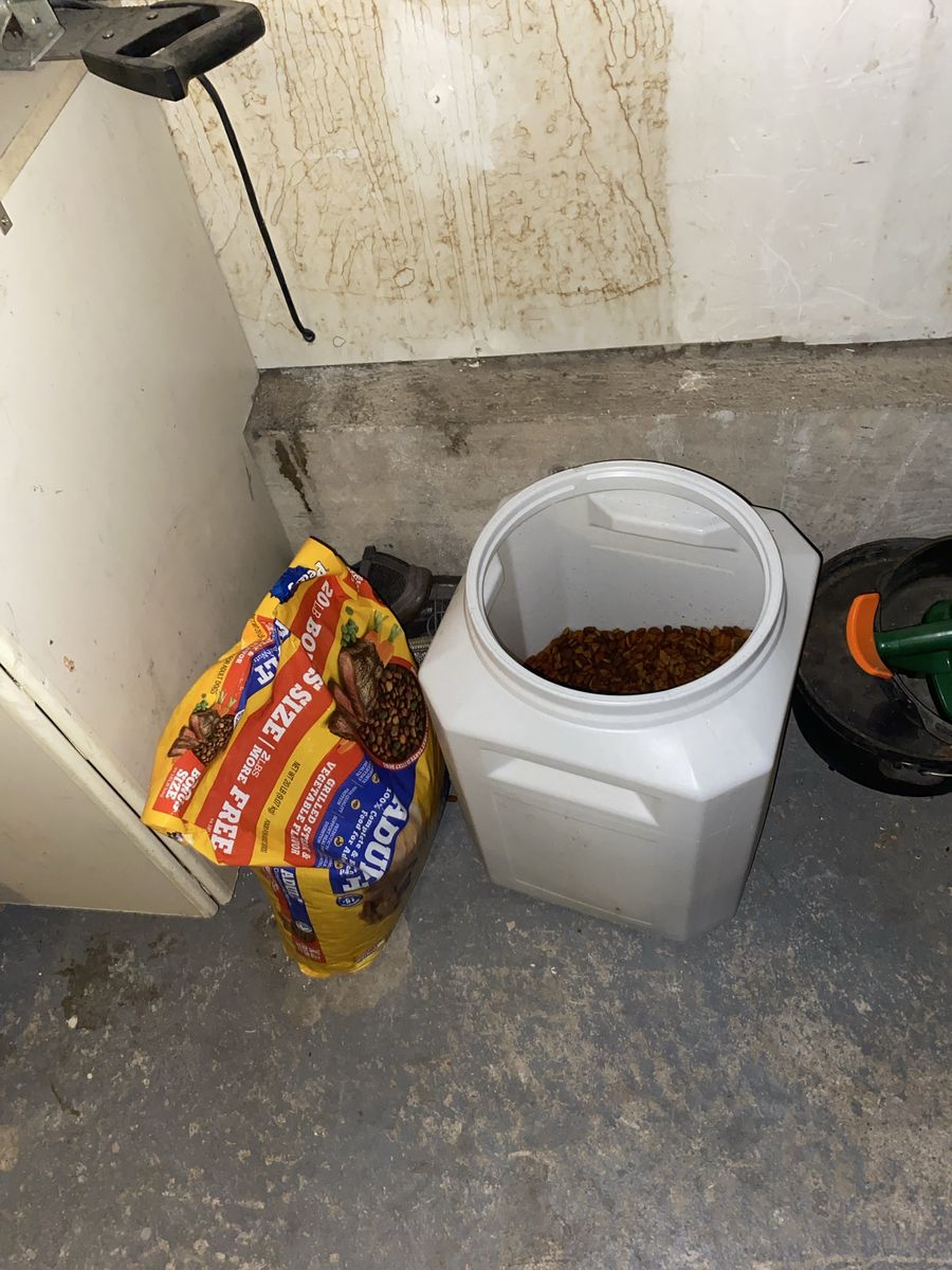 Pet Food Storage Container and Dog Food Bag