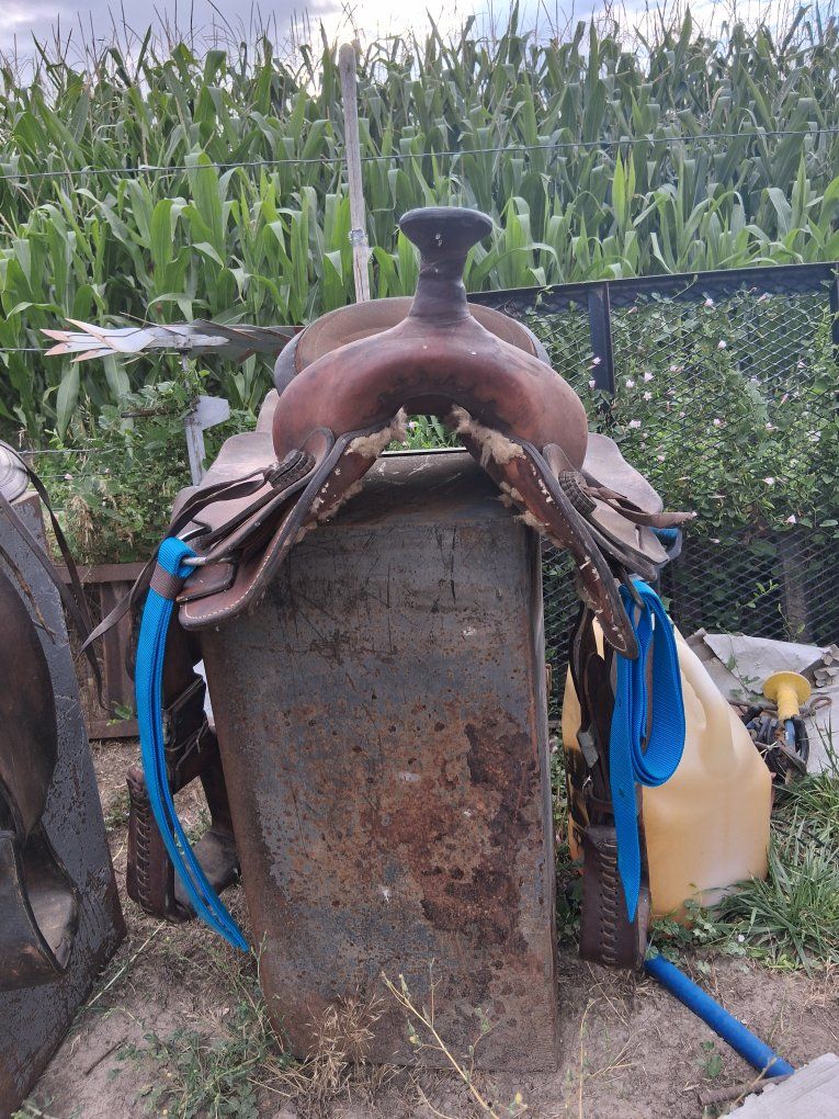 16in roping saddle