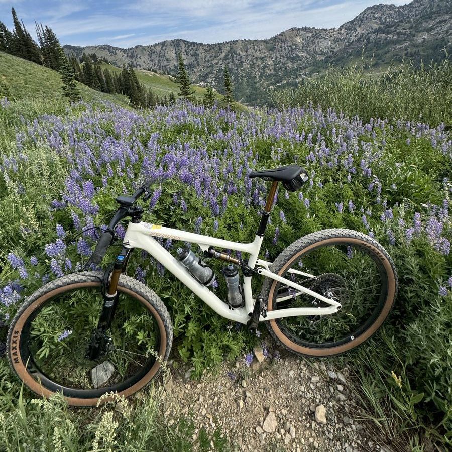 Specialized Epic Evo Pro - Large