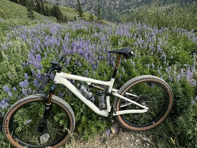 Specialized Epic Evo Pro - Large