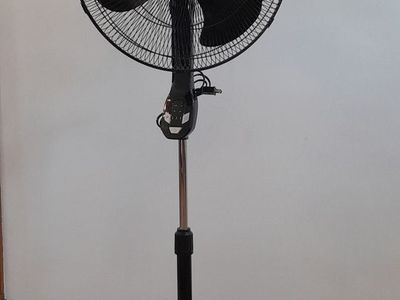 Fan