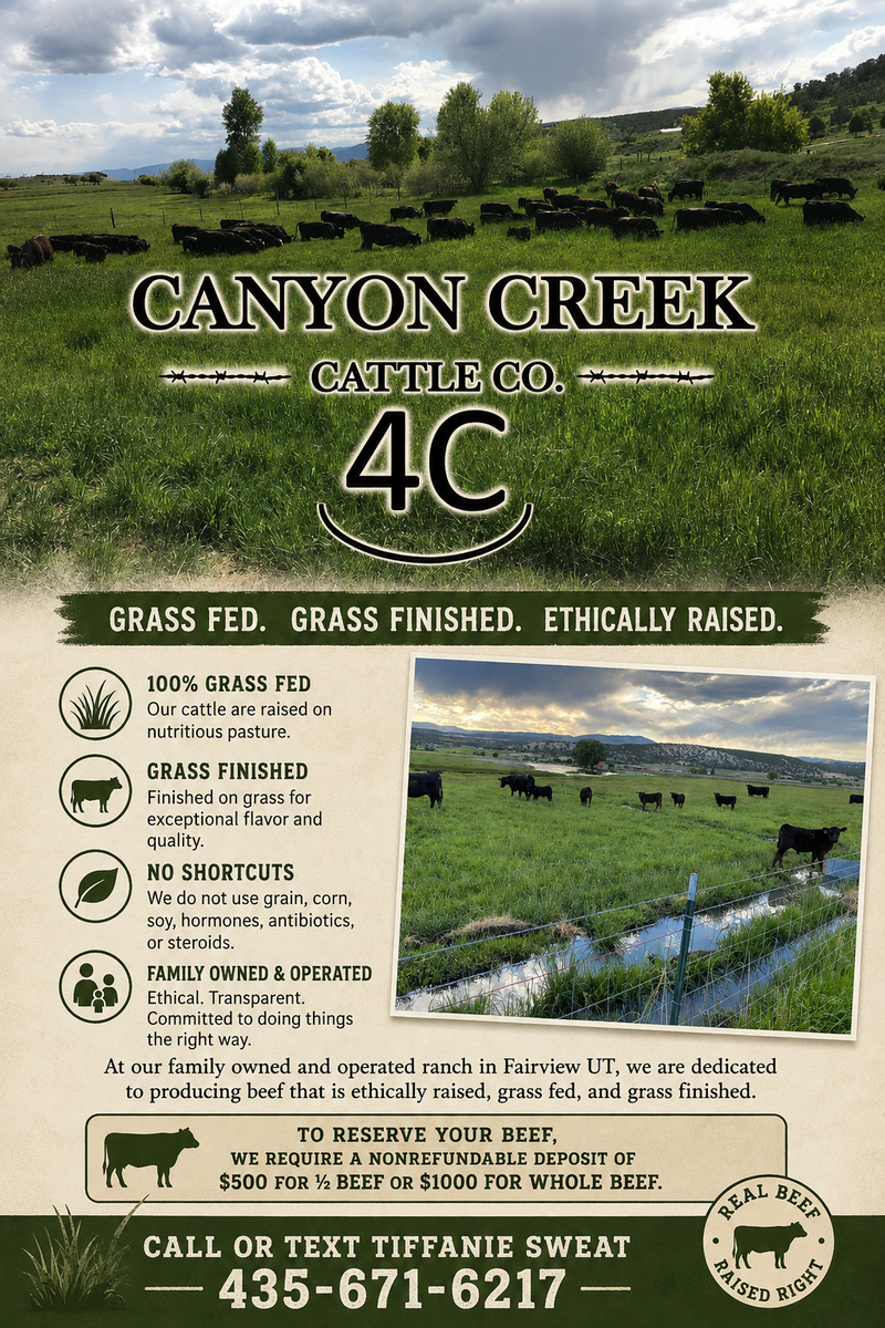 GRASS PASTURE FED- GRASS FINISHED BEEF