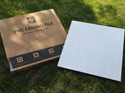 24" x 24" PVC Ceiling Tiles - 12 Pack #22