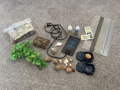 Hermit Crab Supplies