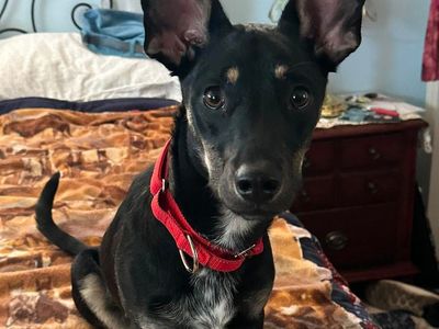 Hello my name is Dudley