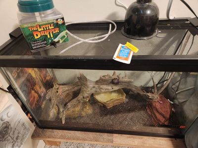 snake tank