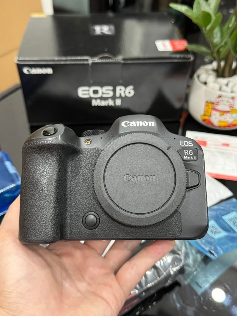 Canon R6 ii 1825$, Ef 85 1.4L 950$, Adapter 115$