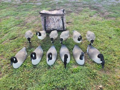 Goose Decoy kit