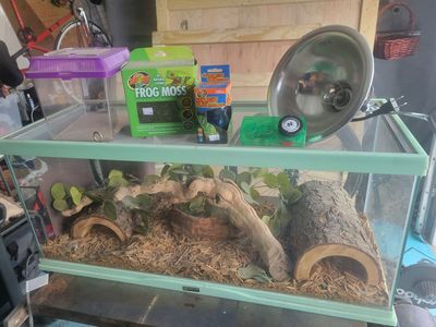 Terrarium