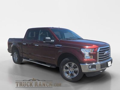 2015 FORD F150 XLT