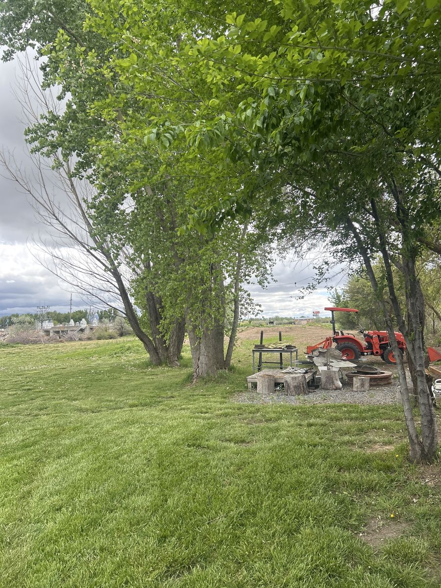 Clean fill dirt needed we will take sod too