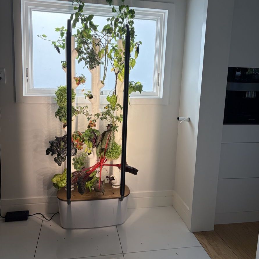 Gardyn Indoor Hydroponic Garden System