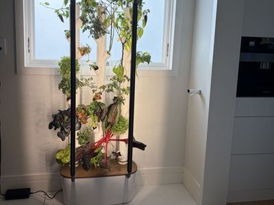 Gardyn Indoor Hydroponic Garden System