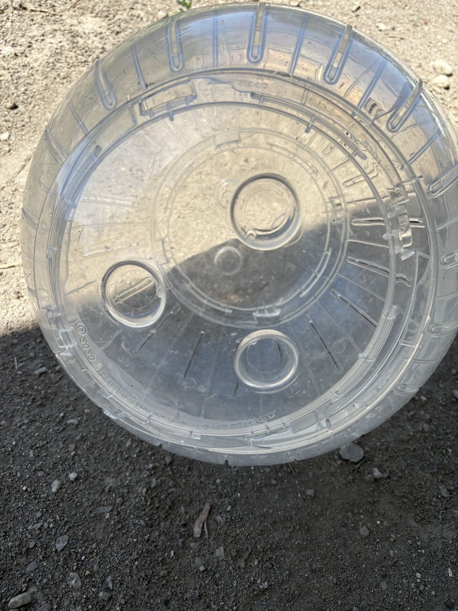 Large rat/hamster ball