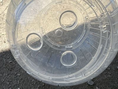 Large rat/hamster ball