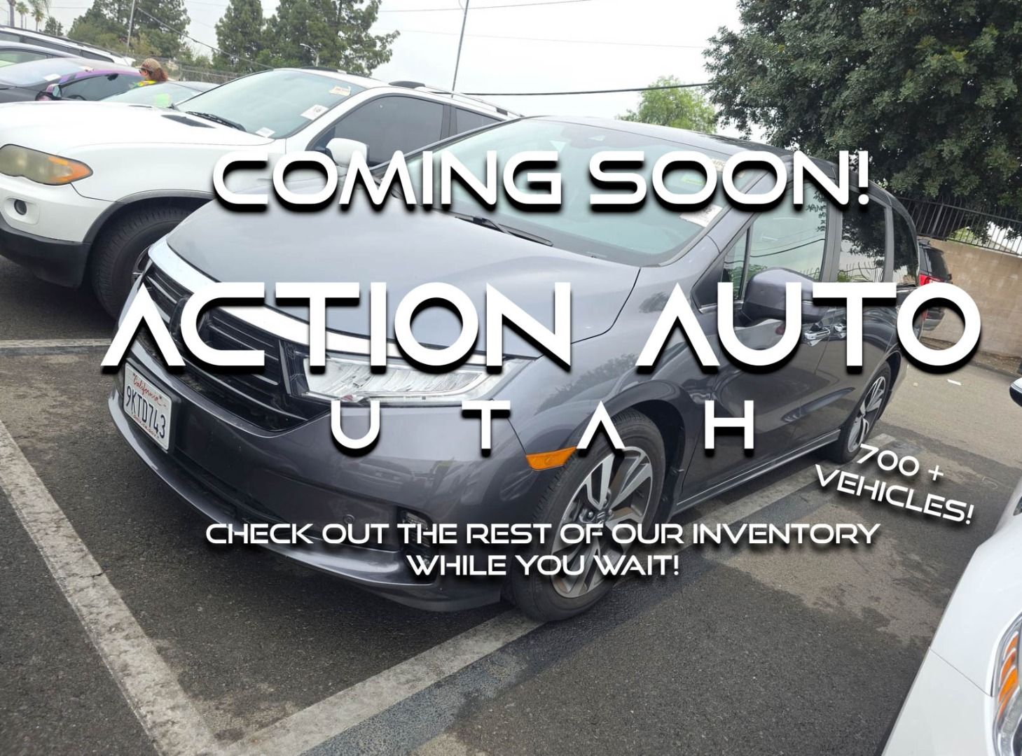 2024 Honda Odyssey Touring