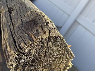 Landscape Timbersx34