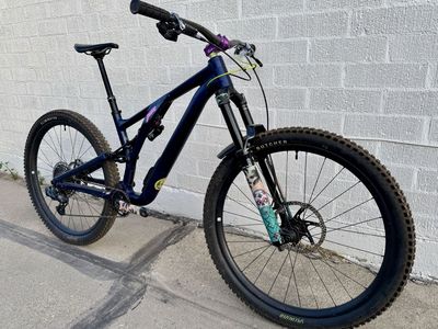 Specialized Stumpjumper EVO Alloy