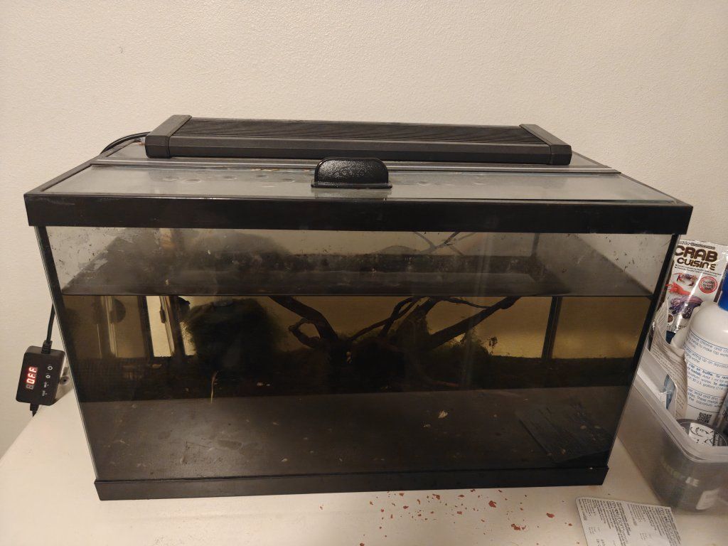 10 gallon aquarium setup
