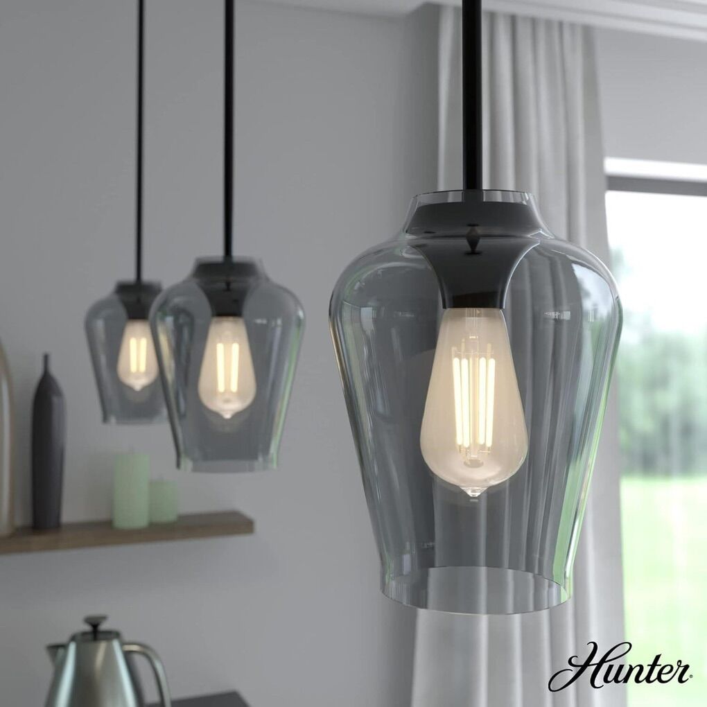 Hunter Vidria 1-Light Pendant