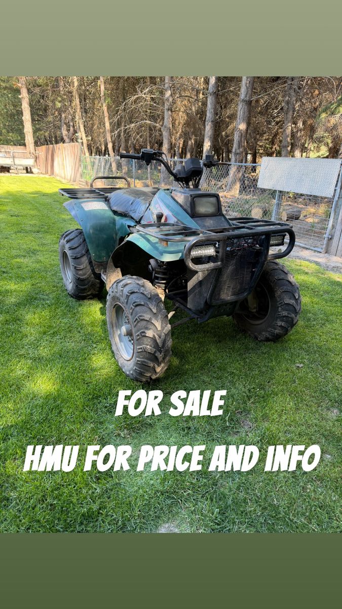 1995 Polaris magnum 2x4