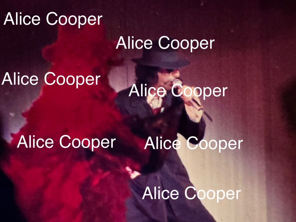 Alice Cooper Concert 35mm Slides