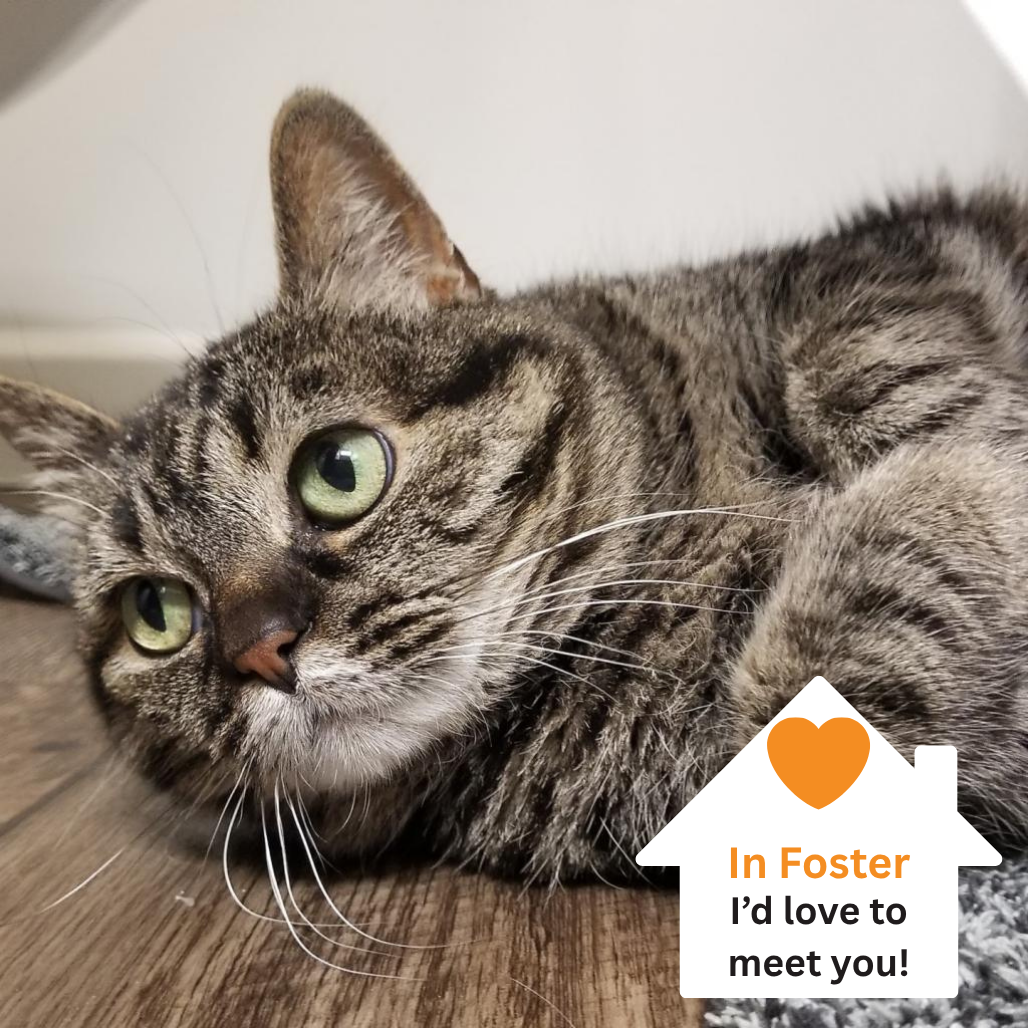 Hello my name is Judy