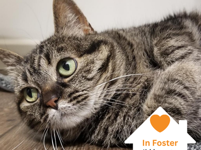 Hello my name is Judy