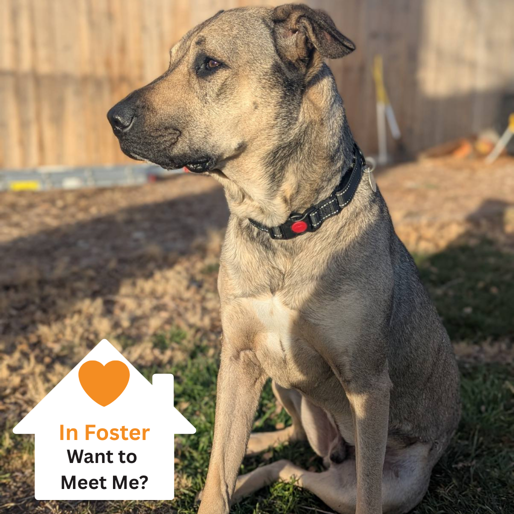 Hello my name is Poblano