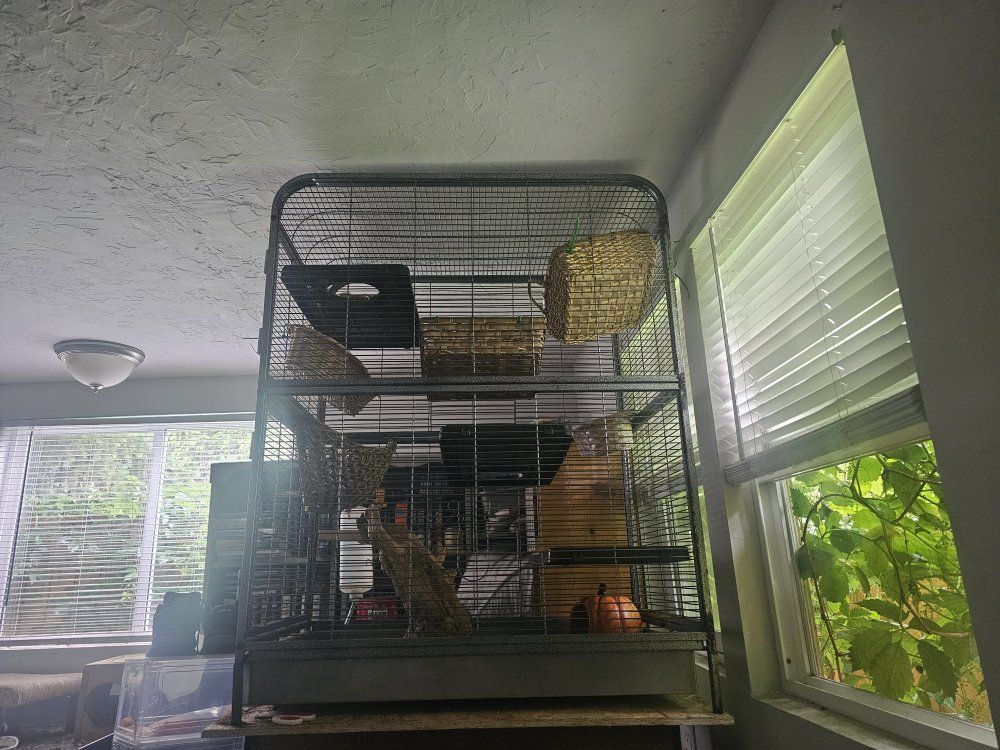 Multilevel Small Animal Cage
