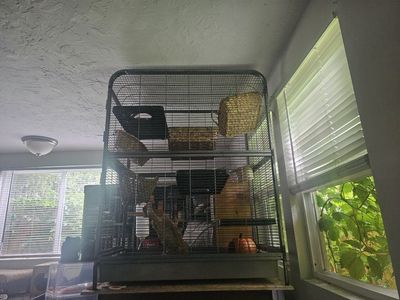 Multilevel Small Animal Cage