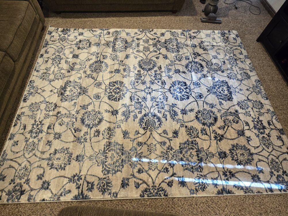 Beautiful Large Area Rug (very lightly used)