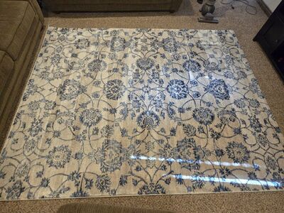 Beautiful Large Area Rug (very lightly used)