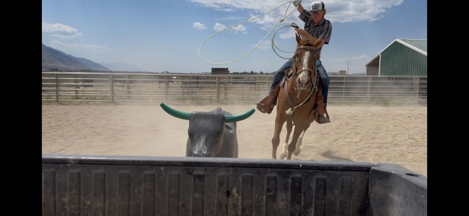 SBR Stoppin For Cash - 2019 Gelding Rope Prospect