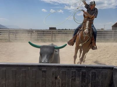SBR Stoppin For Cash - 2019 Gelding Rope Prospect