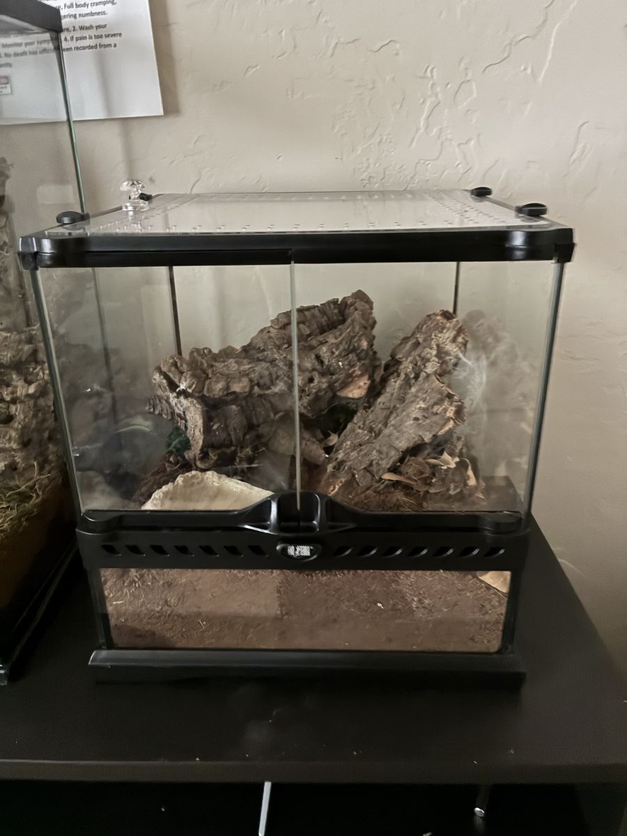 Main image 2