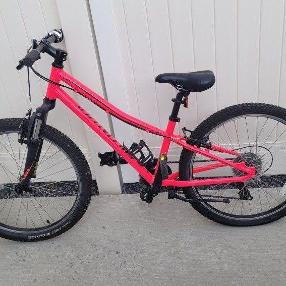 Specialized Mountain Bike Hotrock 20