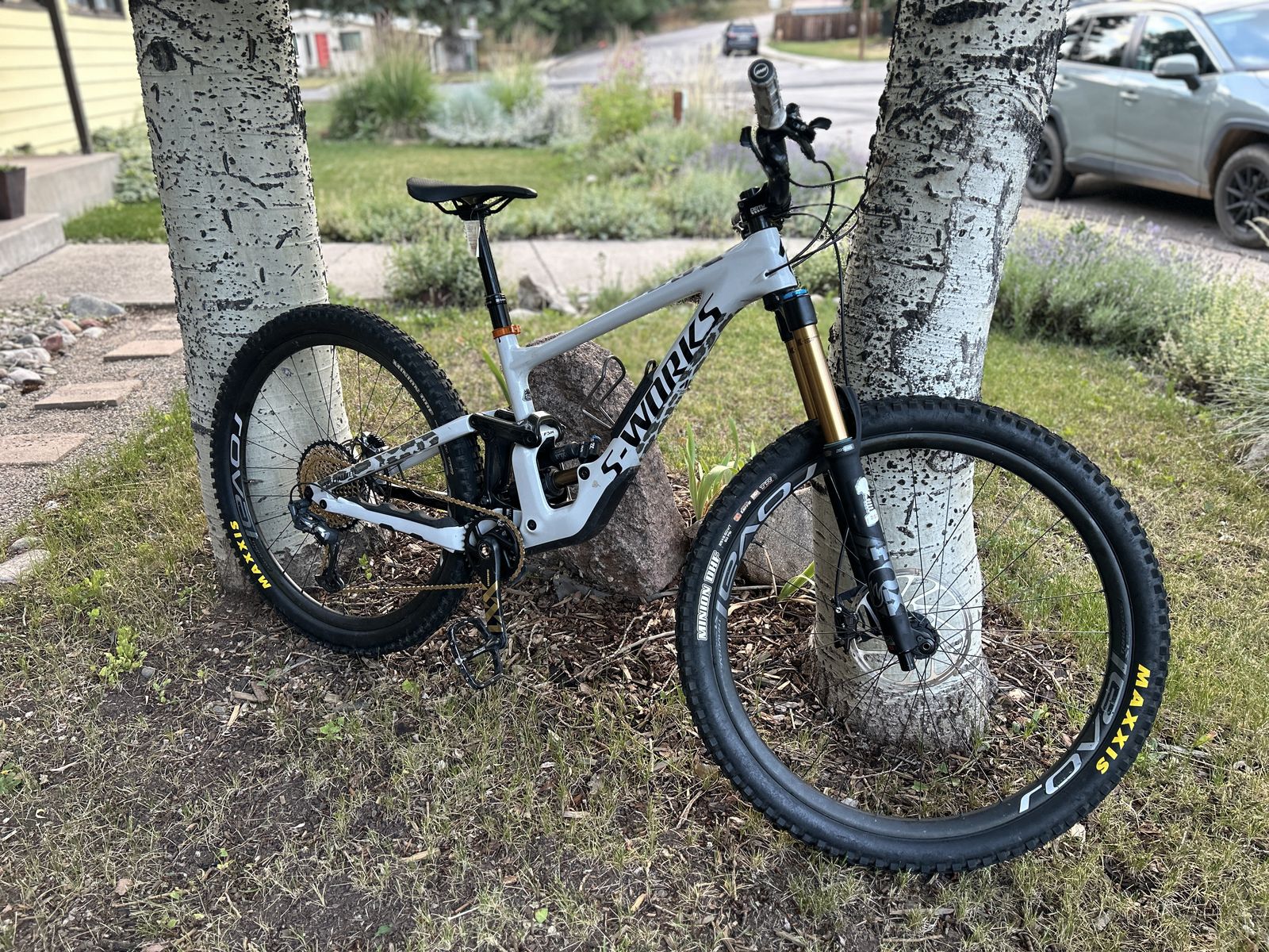 2020 S-Works Enduro