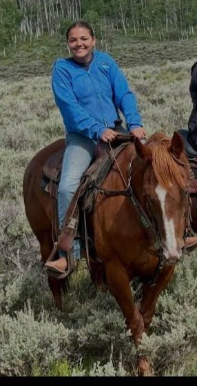 18 year old qh mare