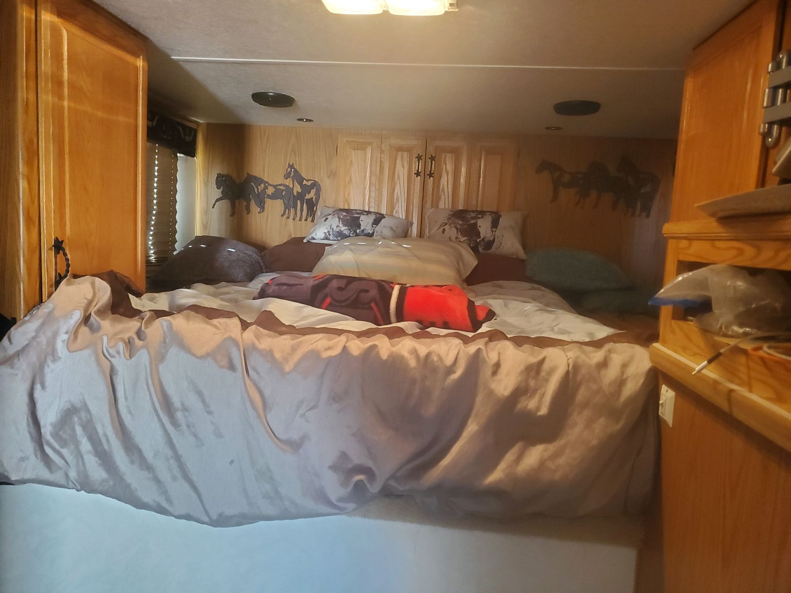 Main image 6