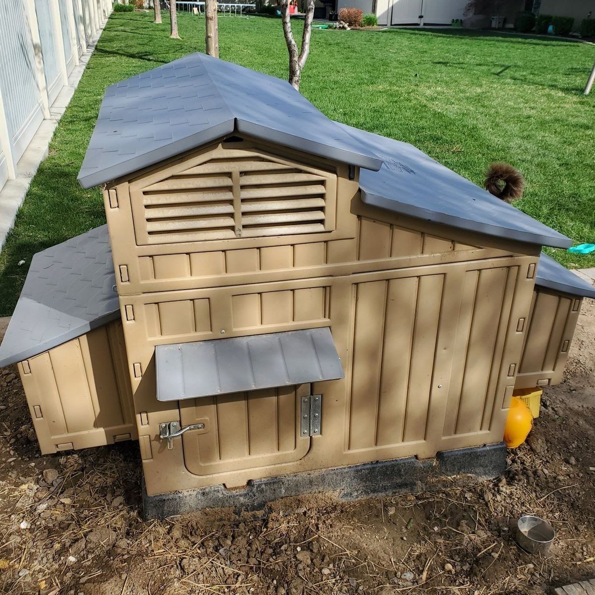 chicken coop