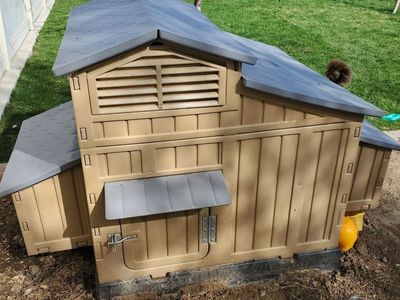 chicken coop