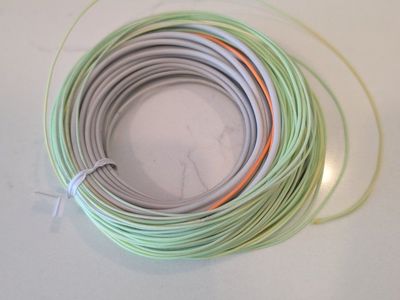 Rio Switch Chucker 7 wt