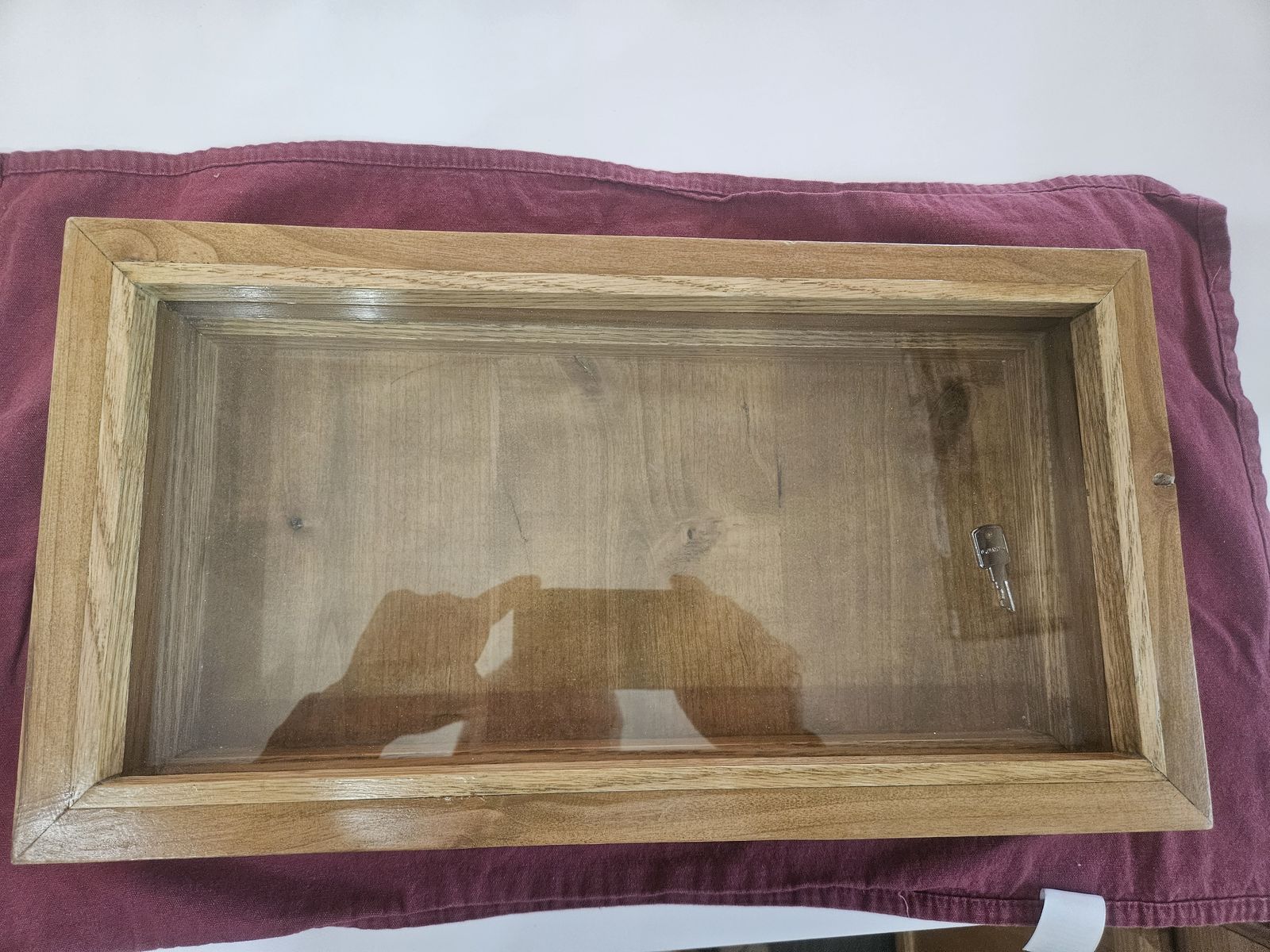 display case