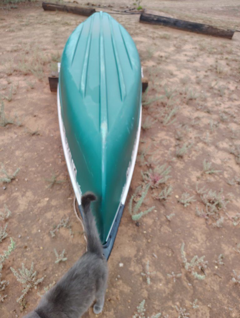 Main image 10