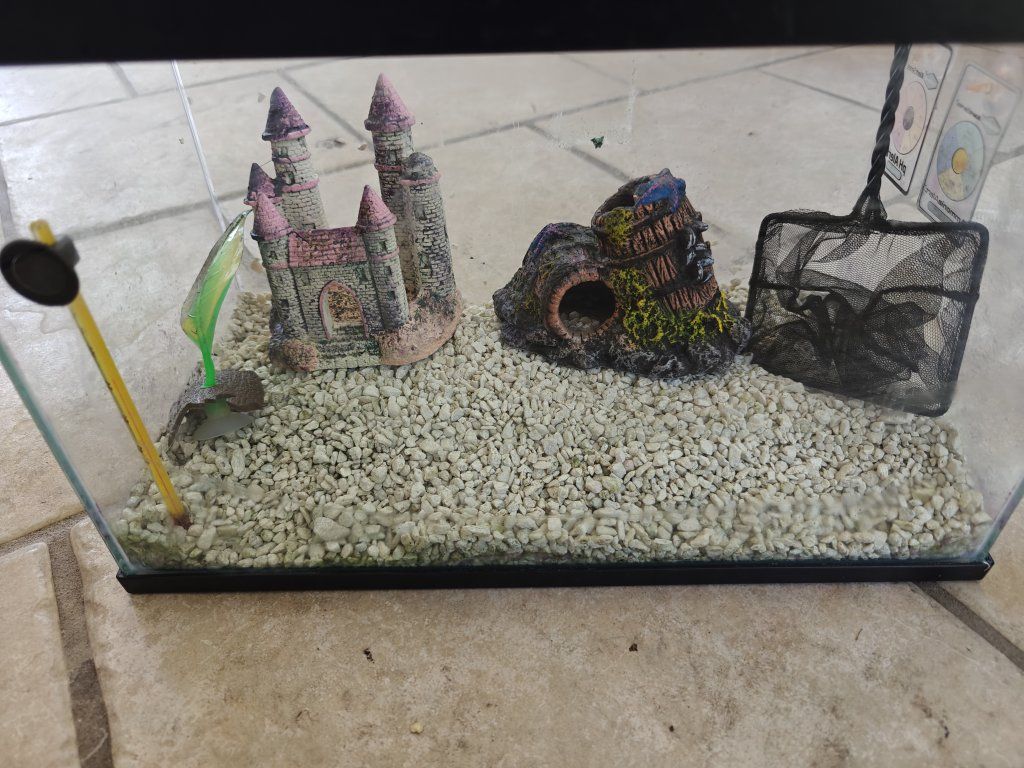 Main image 2