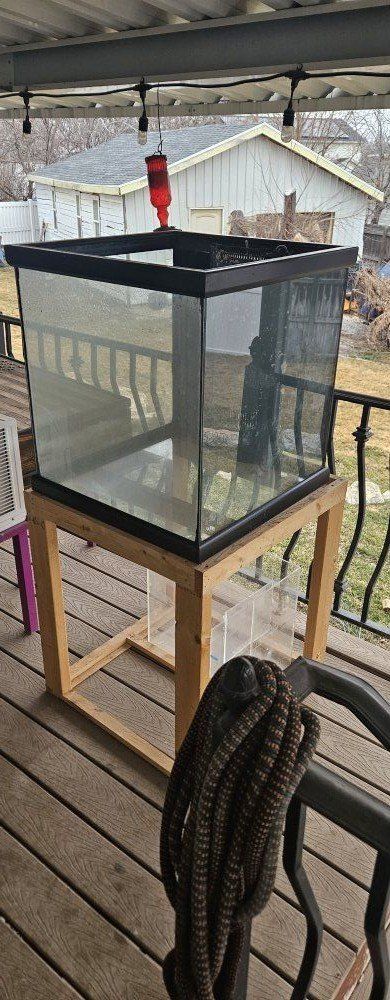 60 gallon cube aquarium
