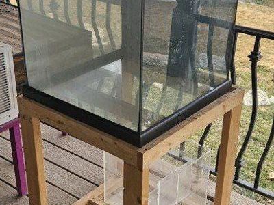 60 gallon cube aquarium