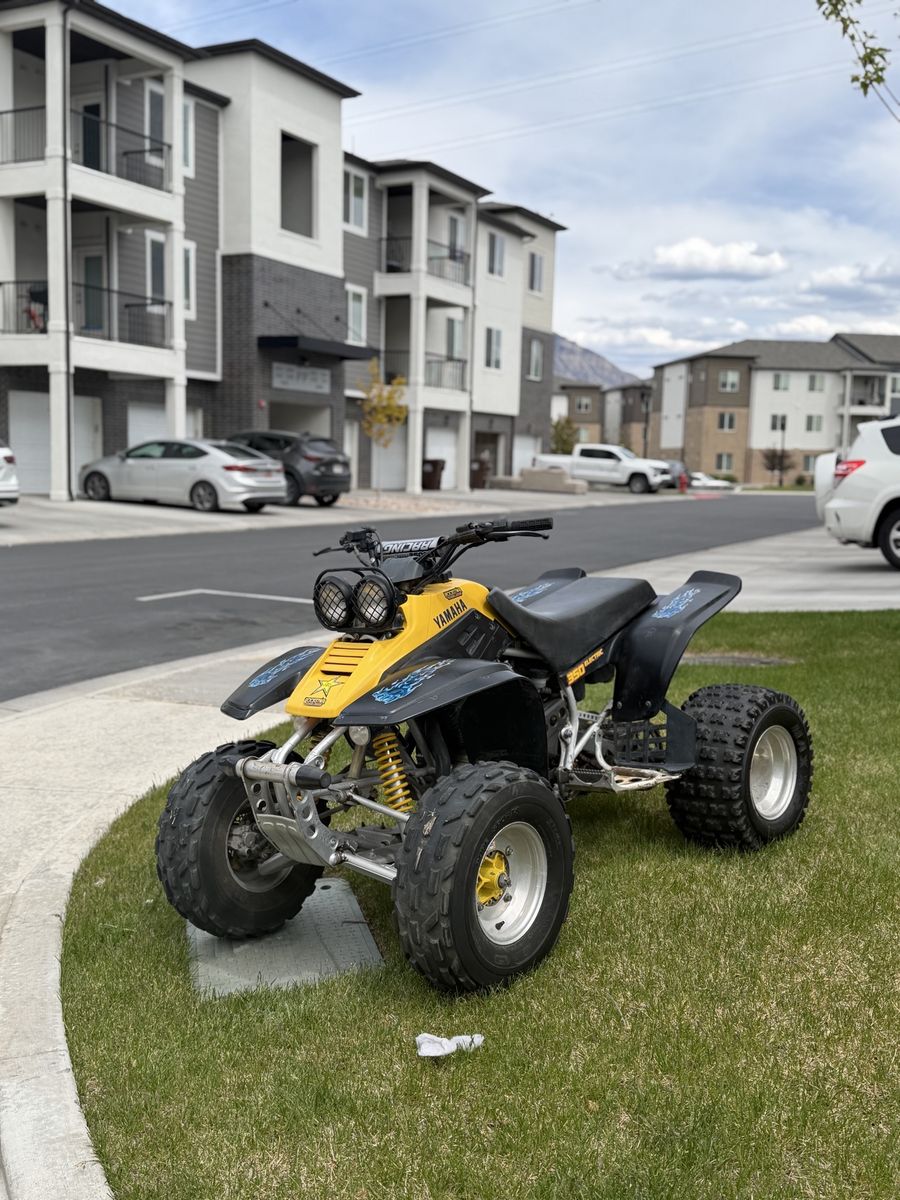 95 Yamaha warrior 350