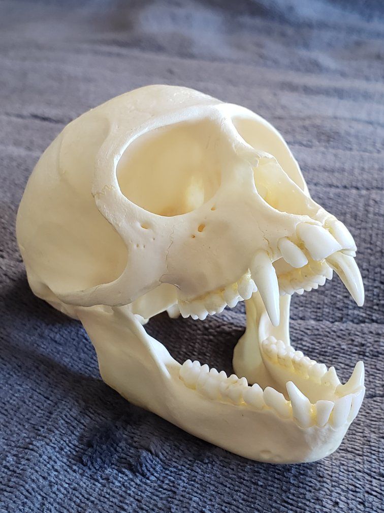 Main image 3